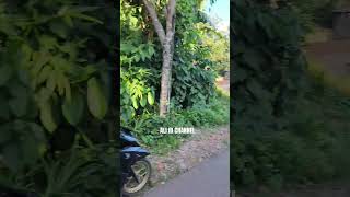 Warga Penasaran Suaranya Riswanda King Gluduk