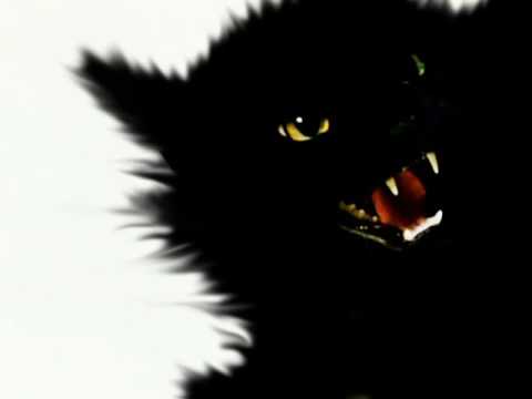 Guy Gerber Air Guitar