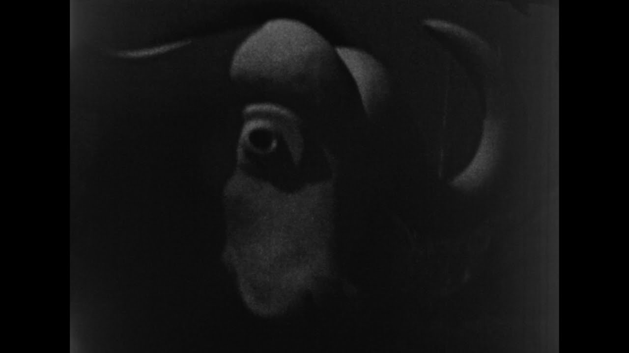 MIP Angel (Censored Version)