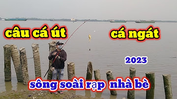 câu cá út, cá lù đù sông soài rạp hiệp Phước giải trí cuối tuần, điểm câu đẹp và rộng rãi / 2023
