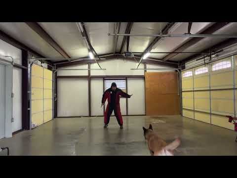 Qurra bite while full load 9mm blank gun is being shot