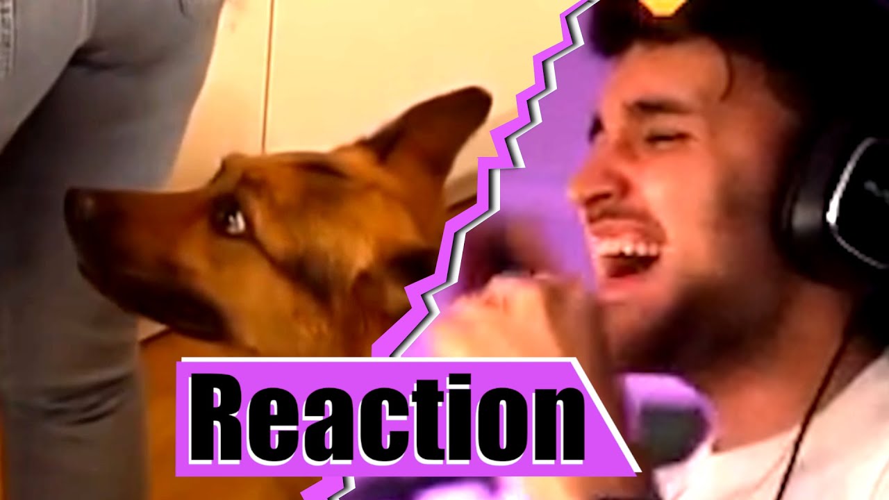 REALTALK über Streamerinnen | Reaktion auf Kein Konzept | Haptic