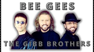 The Gibb brothers Bee Gees