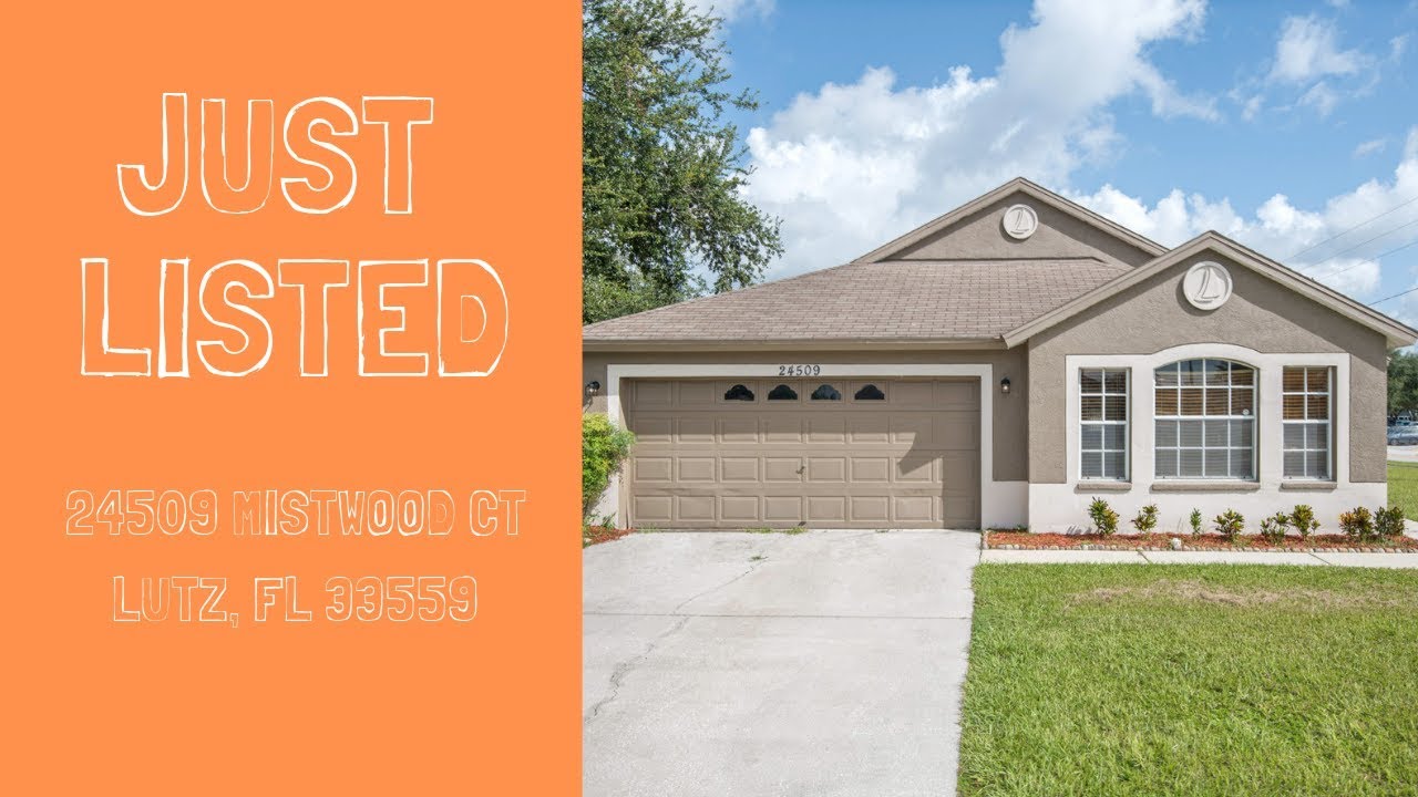 24509 MISTWOOD COURT, LUTZ, FLORIDA 33559 YouTube