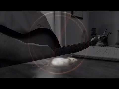 Random Disorder © Original Song