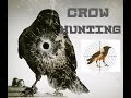 Crow hunting. Кроухантинг. Монохромная весна. Картоновый рай.