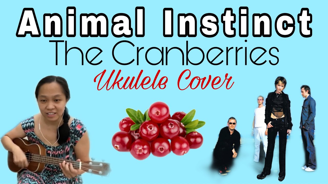 Animal Instinct The Cranberries My Ukulele Cover YouTube