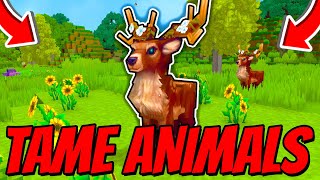 How To LURE & TAME ALL ANIMALS In Hytale!