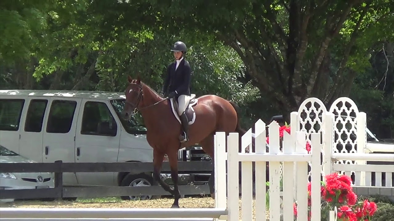 2017-08-25 HITS Culpeper Equitation