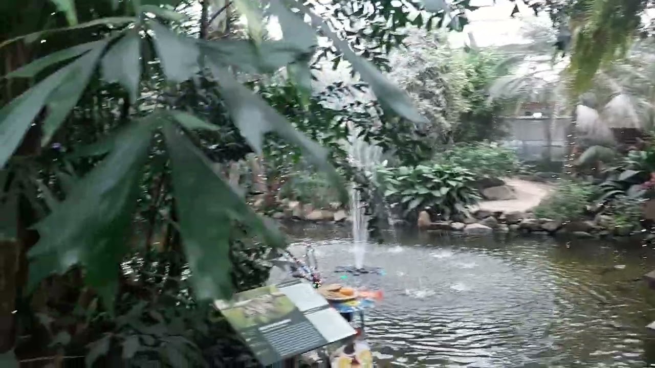 Magical Pantropica (voorheen de Orchideeën Hoeve 