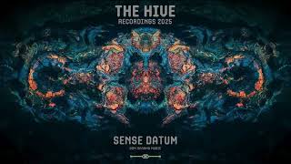 SENSE DATUM @ The Hive | MoDem Festival 2025