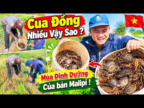 If We Get Enough, We Could Make Some Awesome Crab Noodle Soup for the Whole Village; Right Now, W...