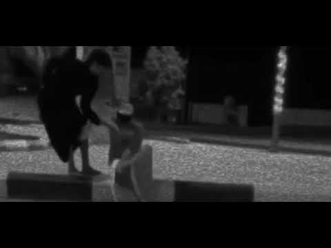 انت الخوي عند حزت الضيق وتراني غير خوتك ماتمنيت