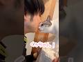 弟の口臭を確認する猫#猫 #保護猫 #捨て猫