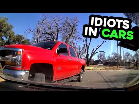 Idiots laughting at Idiots in Cars
