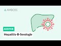Hepatitis B-Serologie - Wie erfolgt die Einteilung und Diagnostik der Hepatitis B? AMBOSS Auditor