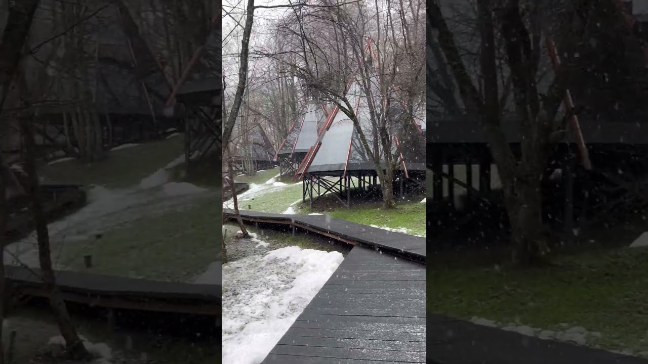 Сочи Нео Типи