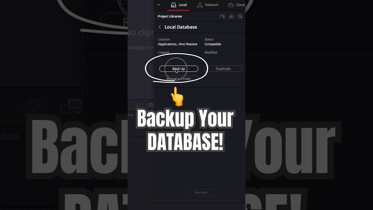 Before You UPDATE, Backup your Database! - DaVinci Resolve