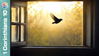 Full Set Free, But for What // 1 Corinthians 10 Explained Update