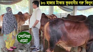 2024 ঈদে গোপালগঞ্জের নারী উদ্যোক্তার খামার থেকে মাত্র ৮০ হাজার টাকায় কুরবানীর গরু কিনুন ‍Soniya Agro