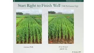 2020 Field Day - Start right to finish well with nutrient management of wheat