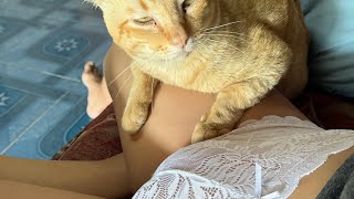 Download Lagu Good night guys MP3