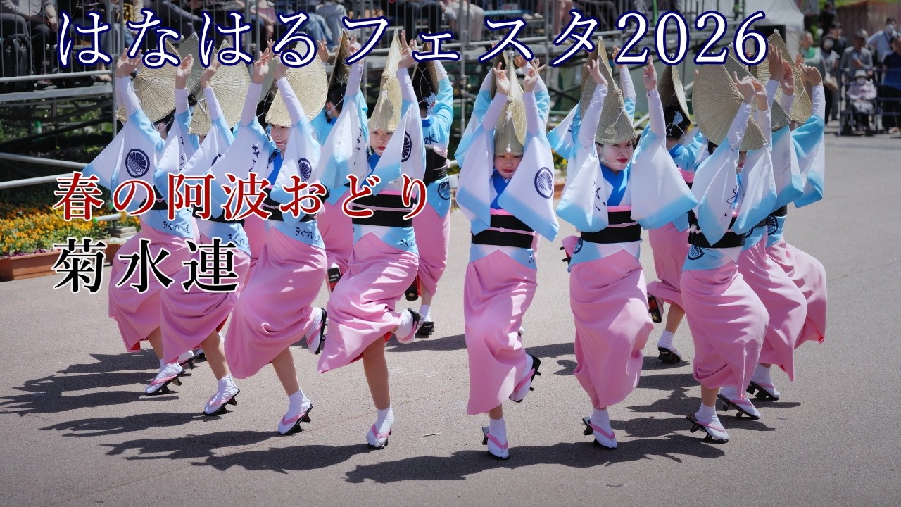 阿波踊り2026】春の阿波おどり はなはるフェスタ2026 菊水連 - YouTube