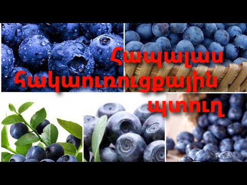 Video: Ինչպես պատրաստել հապալաս կվաս