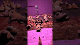 🇫🇷 🟦 FrOgZ – NOUVEAUTÉ  - Escape The Cube (Meta Quest) Thriller VR d'évasion — atmosphère horrifique