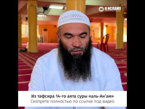Какой грех самый великий? #shorts Ринат Абу Мухаммад