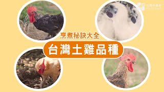 【餐桌上的肉蛋魚】常見的台灣土雞品種有哪些？土雞肉怎麼煮 ... 