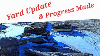 Yard Update & Progress Made