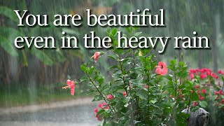 Even in the heavy rain, you are beautiful/Sleep rain sound/Lullaby/Sleeping rain sound/Sleep asmr.