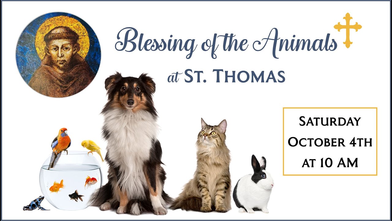 Pet Blessing 2025