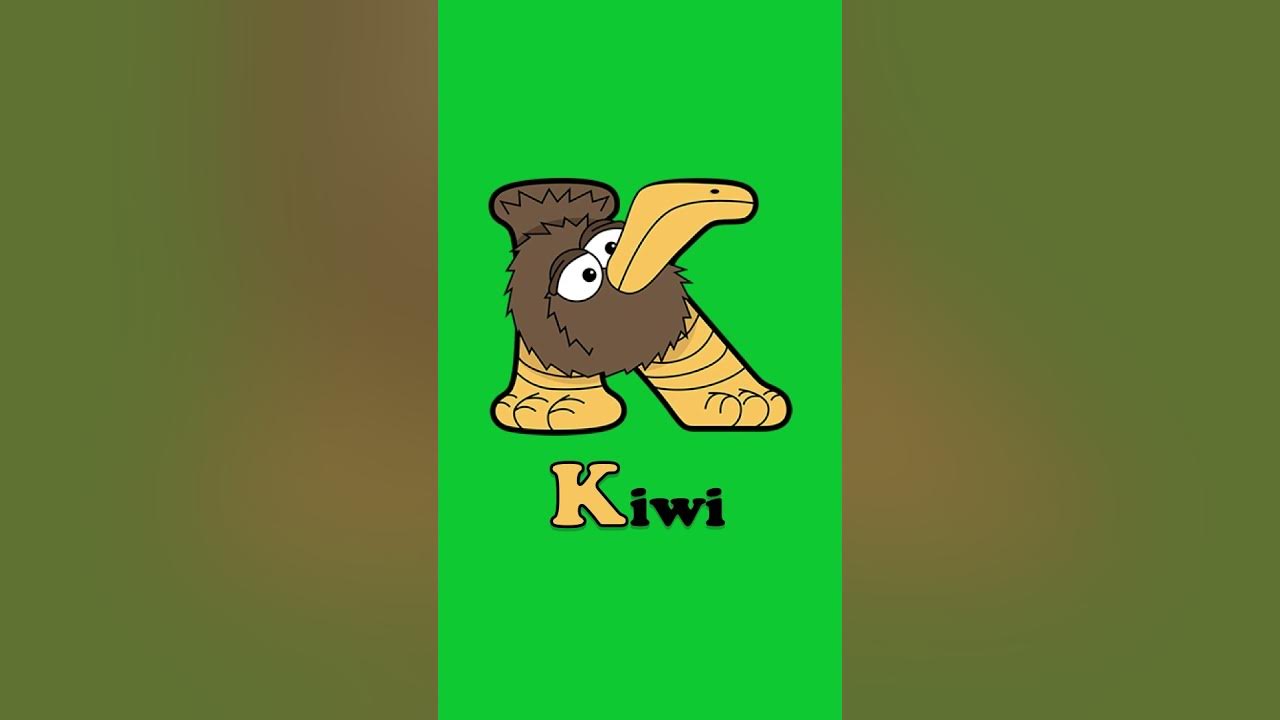 Animals that start with K - Kangaroo, Kingfisher, Kiwi, Koala #Shorts -  YouTube