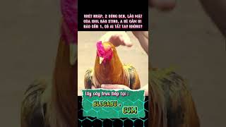 KHÉT CỌP CỦA IDOL, A BÉ ĐI BÀO #c1 #c2 #c3 #shortvideo #gadamientay #short #xuhuongyoutube