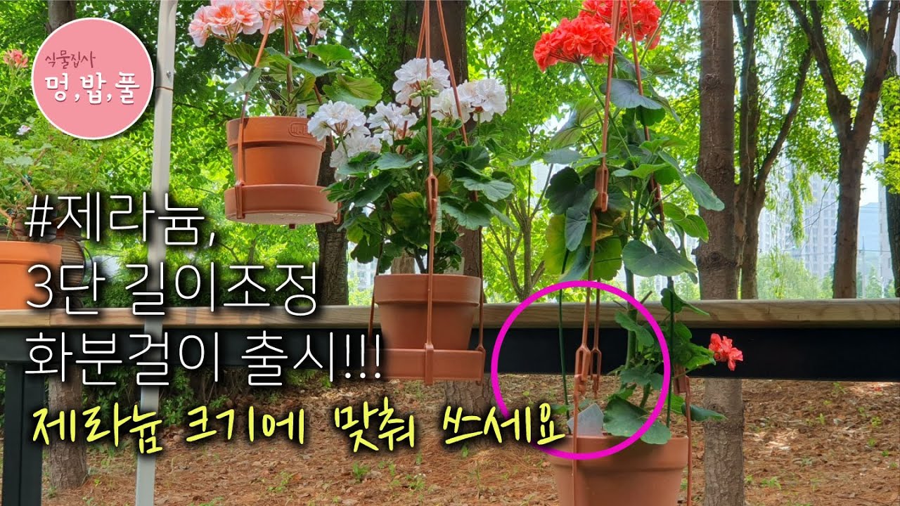 제라늄,3단 길이조절 화분걸이 사용법