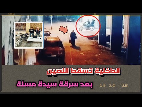 شوفوا الاتنين دول عملوا إيه في الست الكبيرة سرقوا شنطتها ووقعوها على الأرض والداخلية اتحركت فور ا