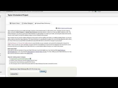 REDCap Overview