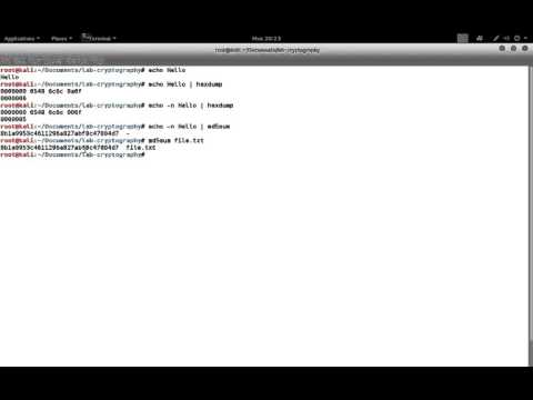 Introduction to Hashing Using Command Line in Linux