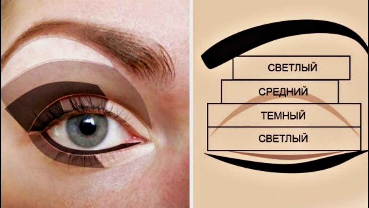 Тени схема. Схема правильного нанесения теней. Схема правильного нанесения теней на глаза. Схема нанесения теней Смоки. Макияж глаз схема нанесения теней.