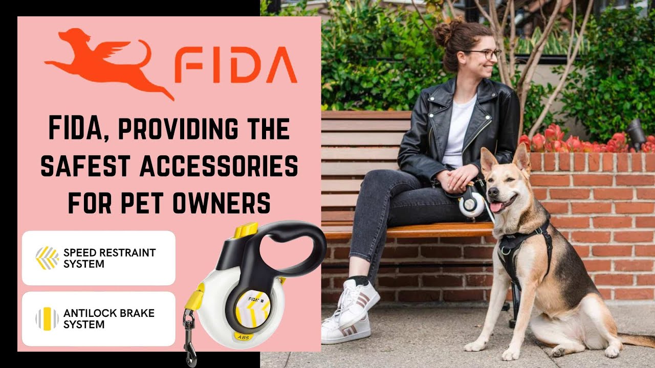 Fida Retractable and Safe Dog Leashes MeowHowl UAE YouTube