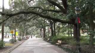 Savannah, Georgia - Road Trip to New York Part 2 | Traveling Robert