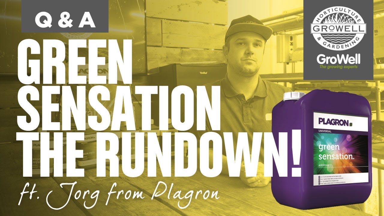 Plagron Green Sensation the Rundown! | ft. Jorg from Plagron | Q&A