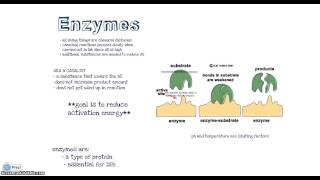 Chapter 6 Section 2: Chemical Reactions