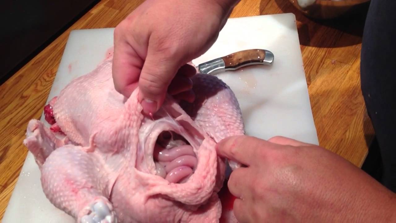 Evisceration D Un Poulet Fermier How To Eviscerate A Chicken French Youtube