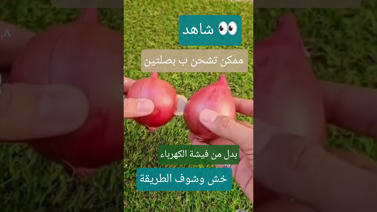 اختراع جديد إشحن ب بصلتين بدل من فيشة الكهرباء