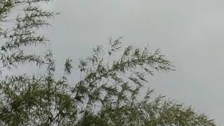 video 20200608 141012