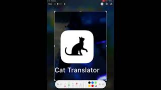 Download cat translator pls screenshot 3