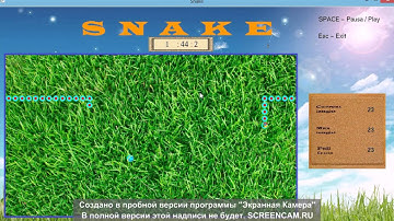 SNAKE My first C++ Game